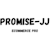 promisejjj