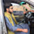 Shahzad B