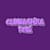 Oluwashina T