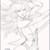 Bonim T