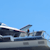 Nico