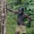 Video Editor