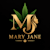 Mary J