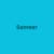 Sameer