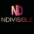 Ndivisible