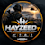 Hayzeed T