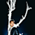Nishant C
