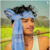 Manash