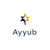Ayyub D