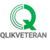 Qlik Veteran