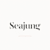 Sean Jong