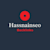 Hassnainseo