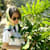 Amalia Atika R