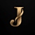 Jayakrishnan BN