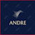 Andre
