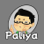 Palpaldesign