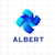Albert N