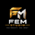 FEM S