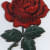 muhammadshoa375
