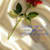 Bao Shakeel