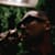 Jamell Pierre