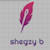 Shegzy B
