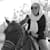 Mohaddeseh N