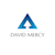 David Mercy