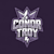 Cono Troy