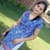 Sameena K
