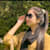 Ch Saira