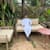 Shaheer Nasir