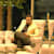 Abdullah Jameel