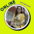 Tania Kashif
