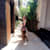 Samantha S