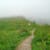 ankit_sajwan