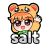 salt_art
