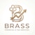 braiss
