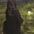 Momina