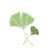 Ginkgo Service