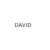 David 