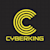 Cyber Expert