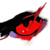 Aryan