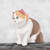 Petart