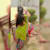 shaista ch