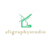 Aligraphystudio
