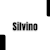 Silvino S