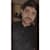 Haider Manzar