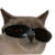TimPepsik