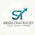 Seostrategist